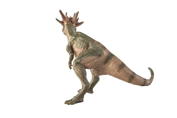 Stygimoloch Dinosaurio Sobre Fondo Blanco — Foto de Stock