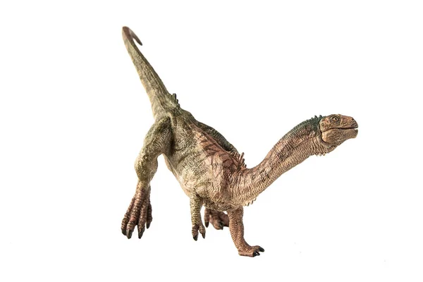 Chilesaurus Dinosaur Witte Achtergrond — Stockfoto