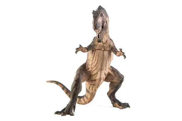 Giganotosaurus Dinosaurie Vit Bakgrund — Stockfoto