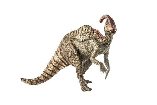 바탕에 Parasaurolophus — 스톡 사진