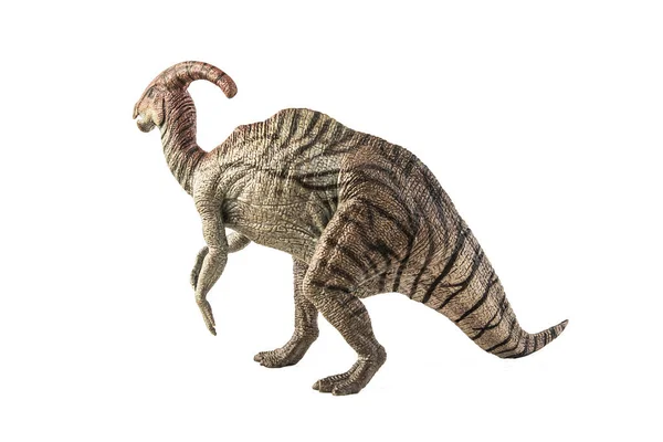 Παρασαυρόλοφος Δεινόσαυρος Λευκό Φόντο — Φωτογραφία Αρχείου