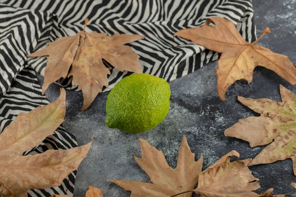 Zielona dojrzała cytryna z suszonymi liśćmi — Zdjęcie stockowe