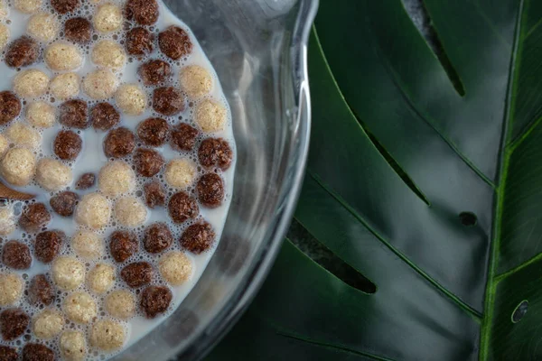 초코 렛볼 잎 위에 놓인 밀알 — 스톡 사진