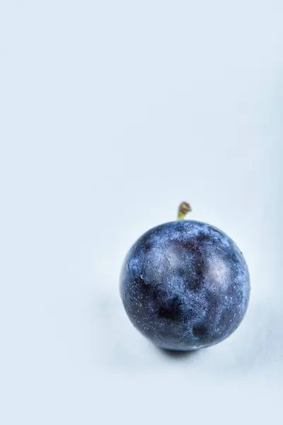 Prune fraîche mûre sur fond bleu — Photo