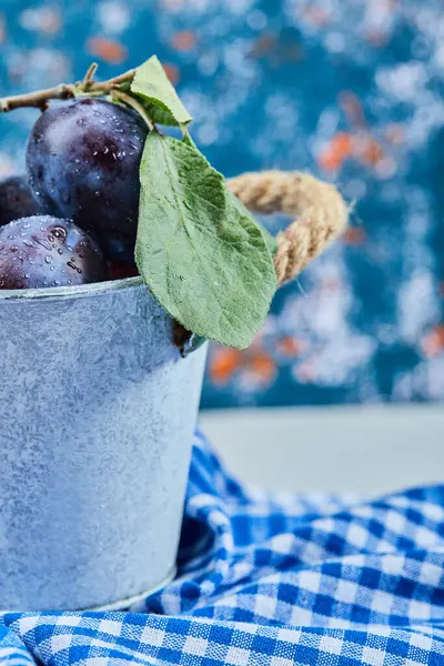 Petit seau de prunes fraîches sur fond bleu — Photo