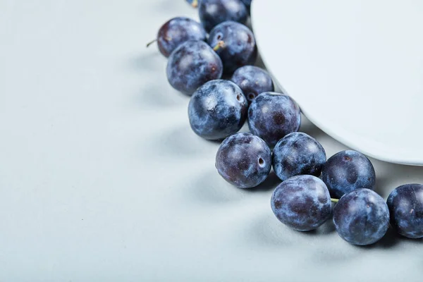 Groupe de prunes fraîches autour de la plaque blanche — Photo