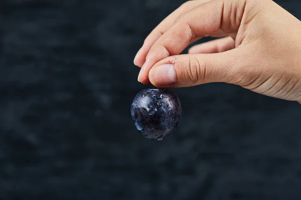 Main tenant une prune fraîche sur un fond sombre — Photo