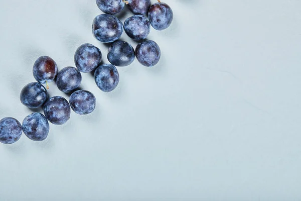 Groupe de prunes fraîches sur fond bleu — Photo
