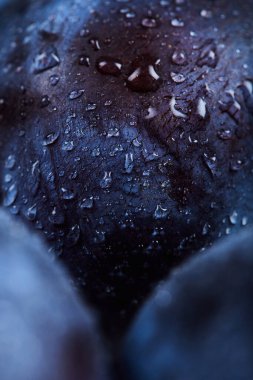 Taze erikleri su damlalarıyla kapatın.