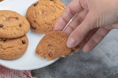 Beyaz çay tabağından bir parça yulaflı kurabiye alıyorum.