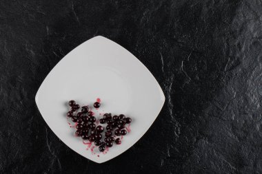 Siyah arka planda beyaz bir plakada kırmızı kuşüzümü ziyareti