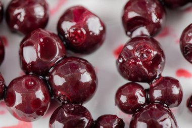 Beyaz arkaplanda kırmızı kuşüzümü ziyareti izole edildi