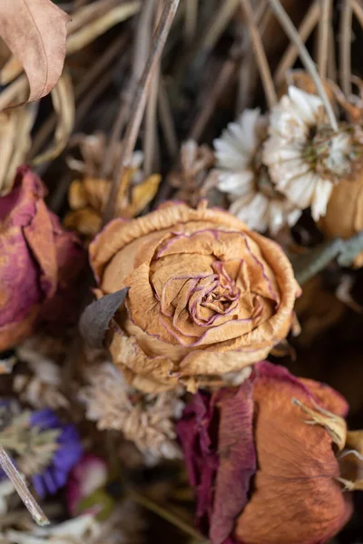 Dried roses flowers with dried leaves