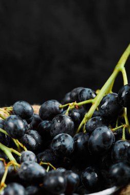 Koyu arkaplanda kovada siyah üzüm kümesi. Yaklaş.