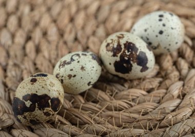 Organik bıldırcın yumurtasının makro fotoğrafı. Yüksek kalite fotoğraf