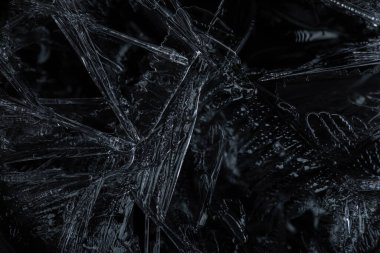 Kekin üzerinde koyu çikolatalı ganache kremi. Yüksek kalite fotoğraf