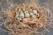 Hromada křepelčích vajec v dřevěném hnízdě. Kvalitní fotografie