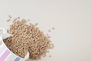 Beton arka planda yeşil mercimek fasulyesi. Yüksek kalite fotoğraf