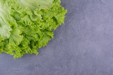 Mavi arka planda bir demet marul. Yüksek kalite fotoğraf