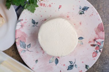 Renkli tabakta organik beyaz peynir. Yüksek kalite fotoğraf