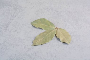 Kuru yeşil defne yaprakları beton zeminde izole edilmiş. Yüksek kalite fotoğraf