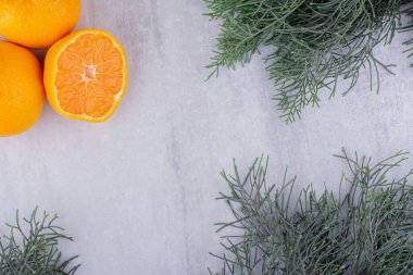 Beyaz arka planda portakalları çevreleyen selvi dalları. Yüksek kalite fotoğraf