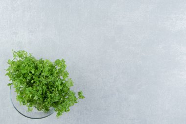  Mermer zemin üzerinde, bardakta taze bir maydanoz. Yüksek kalite fotoğraf