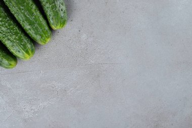 Gri arka planda dört taze salatalık izole edilmiş. Yüksek kalite fotoğraf