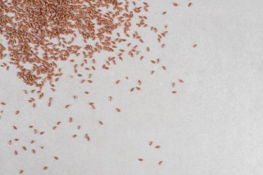 Kahverengi buğday taneleri beton arka planda izole edilmiş. Yüksek kalite fotoğraf