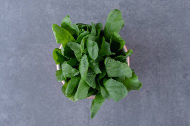 Kovada su teresi var, mermer arka planda. Yüksek kalite fotoğraf