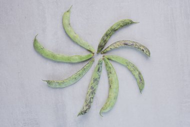 Gri yüzeye bir sürü yeşil fasulye konmuş. Yüksek kalite fotoğraf