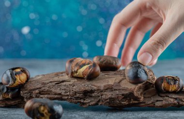 Ağaç kabuğunda kızartılmış kestaneler. Yüksek kalite fotoğraf