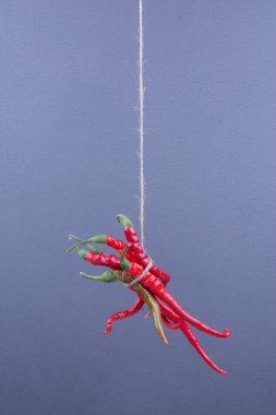 Kırmızı kırmızı kırmızı biber mavi arka planda asılı. Yüksek kalite fotoğraf