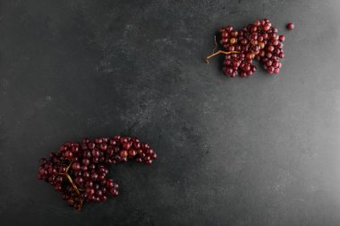 Siyah arka planda kırmızı üzüm demetleri. Yüksek kalite fotoğraf