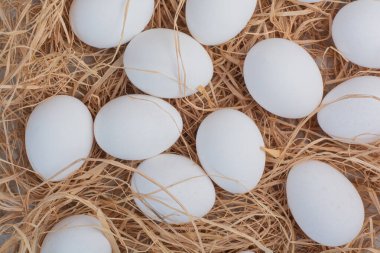 Mermer zemin üzerinde taze beyaz yumurtalar. Yüksek kalite fotoğraf