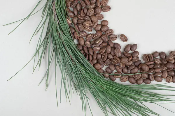 Gri arka planda dalları olan kahve çekirdekleri. Yüksek kalite fotoğraf