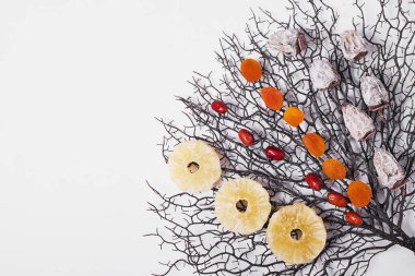 Beyaz arka planda kuru meyveler. Yüksek kalite fotoğraf