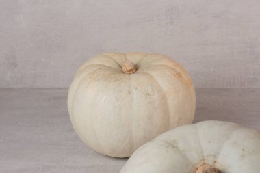 Beyaz arka planda beyaz olgun balkabakları. Yüksek kalite fotoğraf