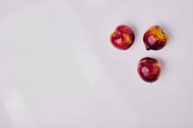 Gri arka planda izole siyah büyük erikler, üst manzara. Yüksek kalite fotoğraf