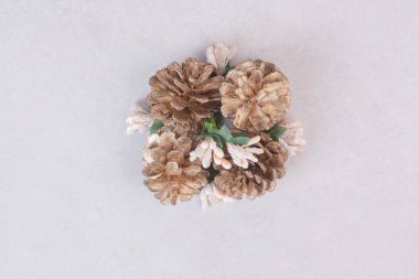 Beyaz arka planda izole edilmiş köknar kozalaklı karlı ladin dalıyla. Yüksek kalite fotoğraf