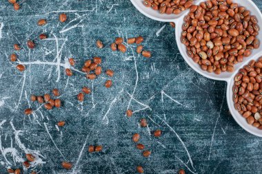 Mavi arka planda bir sürü kahverengi fasulye. Yüksek kalite fotoğraf