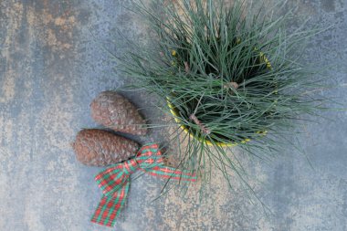 İki kozalak, güzel bir fiyonk ve bir kova sarı dallı Noel ağacı. Yüksek kalite fotoğraf