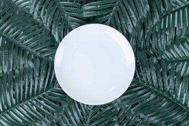 Beyaz plaka etrafında yapay yeşil yapraklar. Yüksek kalite fotoğraf