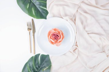 Sahte yaprakları ve masa örtüsü olan beyaz tabakta tek gül. Yüksek kalite fotoğraf