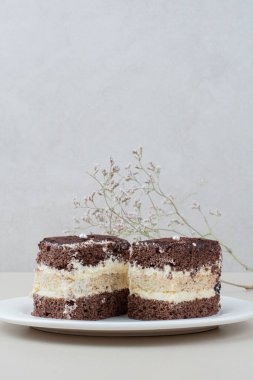 Beyaz tabakta iki dilim tiramisu keki. Yüksek kalite fotoğraf