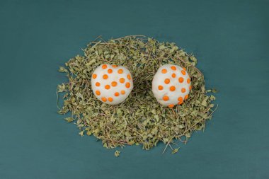 Mavi arka planda kurutulmuş otlu iki beyaz mantar. Yüksek kalite fotoğraf