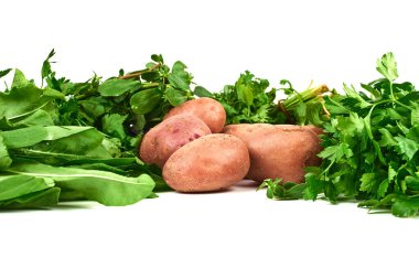 Beyaz arka planda izole edilmiş patates ve otlar. Yüksek kalite fotoğraf
