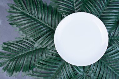 Mavi arka planda beyaz plaka etrafında yapay yeşil yapraklar. Yüksek kalite fotoğraf