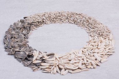 Beyaz yüzeyde ayçekirdeği çeşitleri. Yüksek kalite fotoğraf