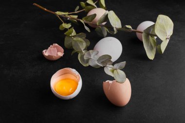 Siyah arka planda yumurta ve yumurta kabukları. Yüksek kalite fotoğraf
